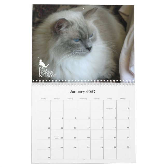 Purrfect ögon! Kattkalender 2012 Kalender (Jan 2027)