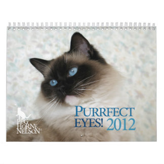 Purrfect ögon! Kattkalender 2012 Kalender