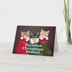 Purrfect Önskemål Cats Kort