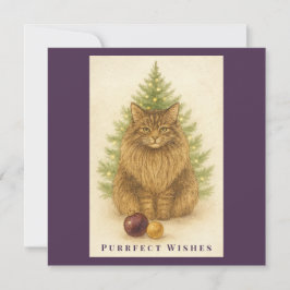 Purrfect Wishes – Cat Christmas – Maine Coon Cat Julkort