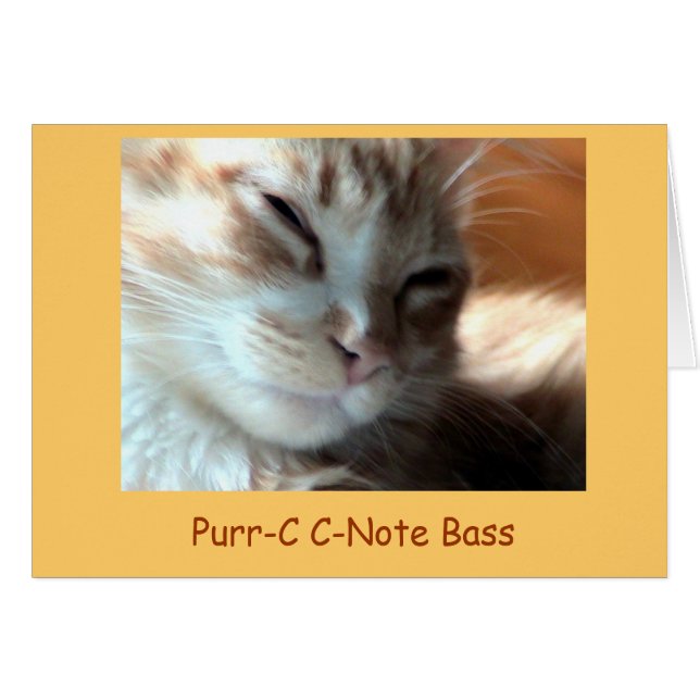 Purrfectly Spinnande-c, Spinnande-c C-Noterar den OBS Kort (Framsidan Horizontal)