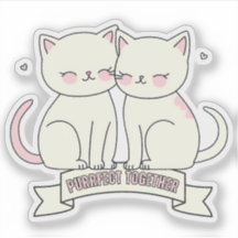 Purrfekt tillsammans kattälskare