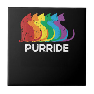 Purride Cat Pride Ally LGBT Community Rainbow Prid Kakelplatta