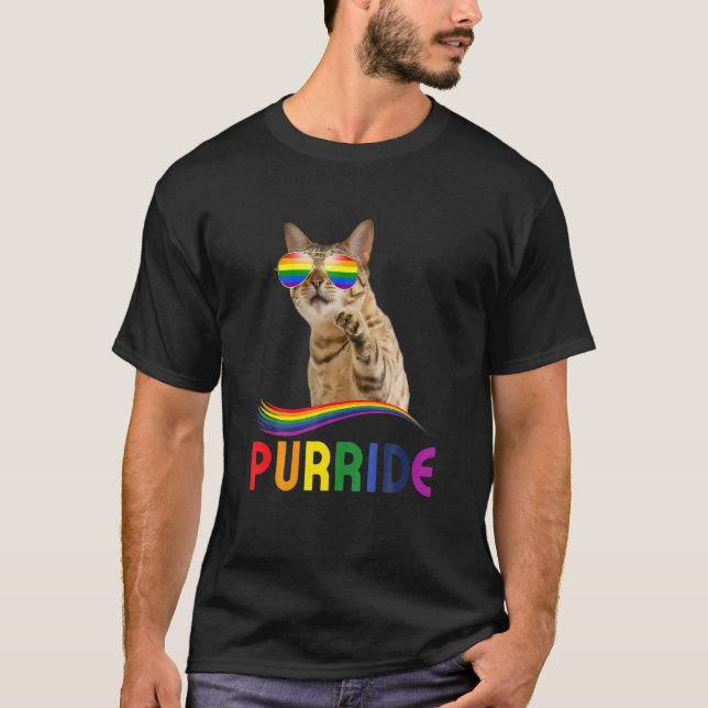 Purride Rainbow Pride Cat Lgbq Cat Ee T Shirt (Framsida)