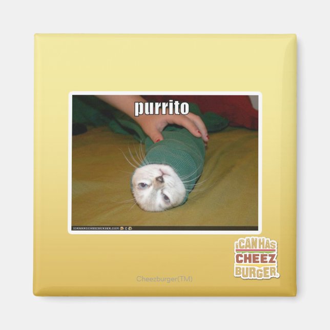 purrito magnet (Framsidan)