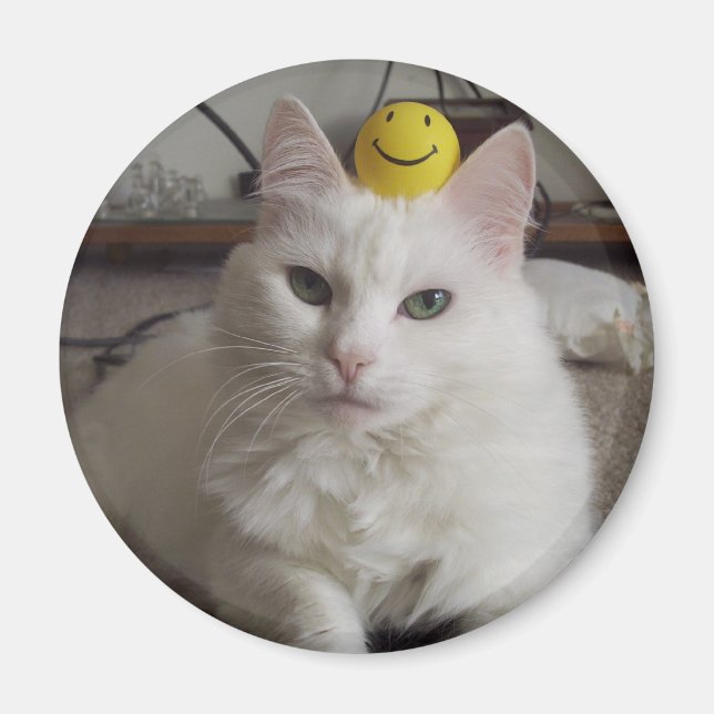 "Purrl" Magnet (Framsidan)