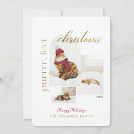 Purro.fect-Roligt för jul och Mysigt 3-foto Julkort