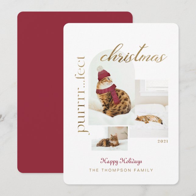 Purro.fect-Roligt för jul och Mysigt 3-foto Julkort (Fram/baksida)