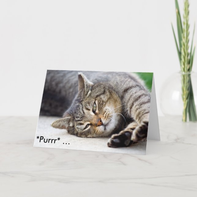 *Purrr* - Lönt födelsedagskort med katt Kort (Framsida)