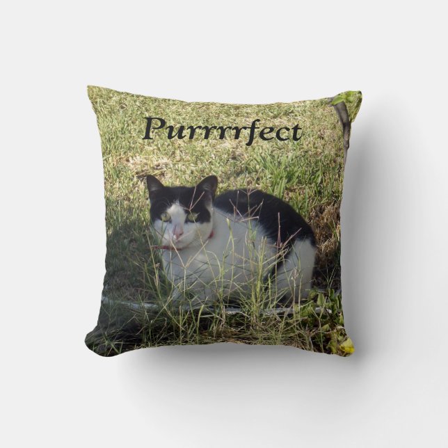 Purrrfect Black and White Cat. Kudde (Framsida)