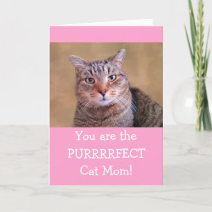 Purrrfect Cat Mamma Mors dag Helgkort