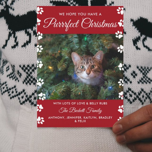 Purrrfect Christmas | Cat Holiday Photo Julkort (Skapare uppladdad)