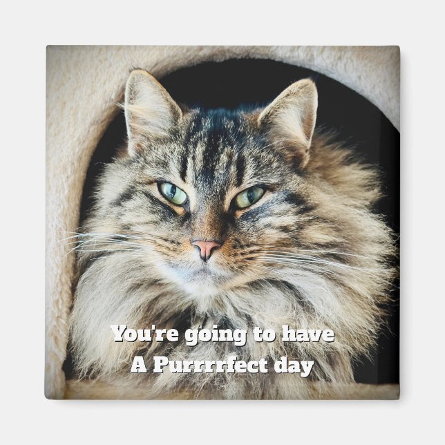Purrrfect Dag Magnet (Framsidan)