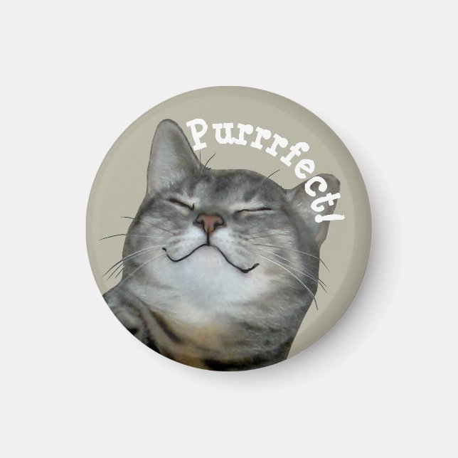 Purrrfect Smiling smug kattunge Magnet (Framsidan)