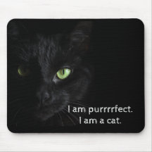 Purrrrfect svart katt - musen vadderar