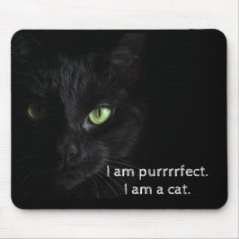 Purrrrfect svart katt - musen vadderar musmatta