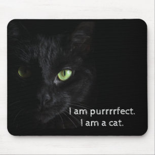 Purrrrfect svart katt - musen vadderar musmatta