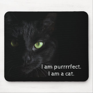 Purrrrfect svart katt - musen vadderar musmatta