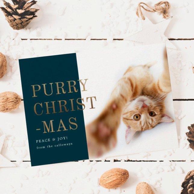 Purry jul Cat Photo Deep Grönt Guld Julkort (Skapare uppladdad)