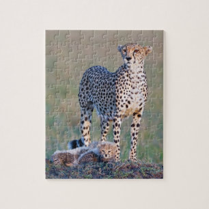 Pussel 10x8 110 lappar - cheetahen och ungar