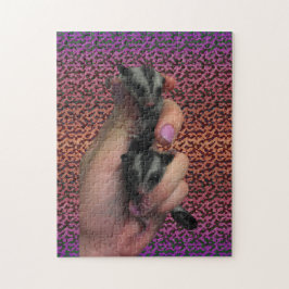 Pussel av baby Sugar Glider Puzzle