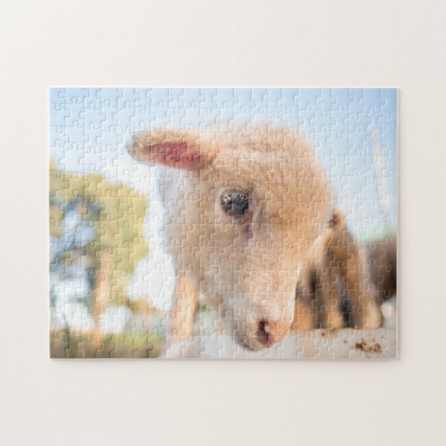 Pussel av lite lamben (Horisontell)
