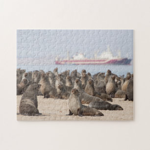 Pussel av Seal Colony framför Frakt