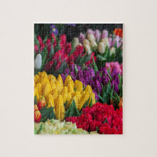 Pussel av tulips