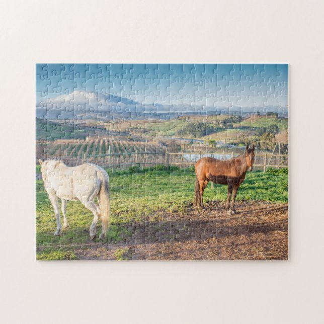 Pussel av två arabiska hästar (Horisontell)