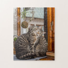 Pussel av två katter tillsammans