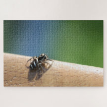 Pussel av zebra