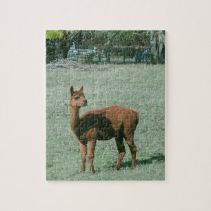 Pussel - brun Alpaca i fält