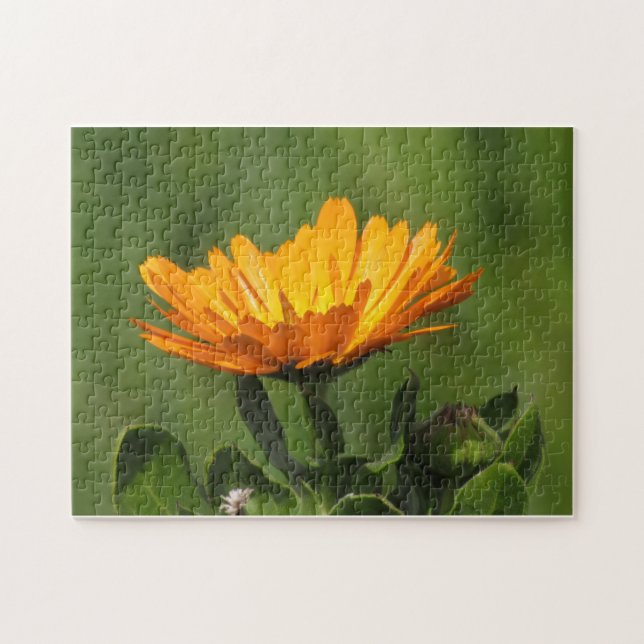 Pussel - Calendula-Blommarna (Horisontell)