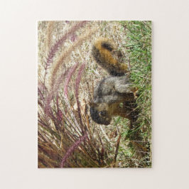 Pussel - ekorre i skuggan