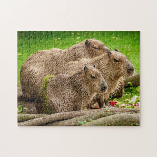 Pussel för Capybarafamiljfoto (Horisontell)