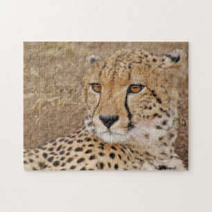 Pussel för Cheetah 1