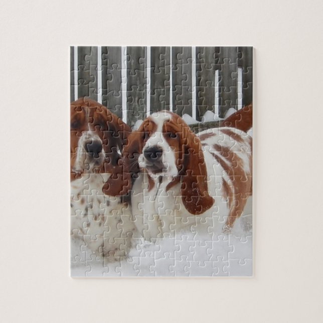 Pussel för fotoet för Bassethunden 8x10 med gåvan (Vertikal)