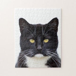 Pussel för fotoet för smokingkatten 11x14 med