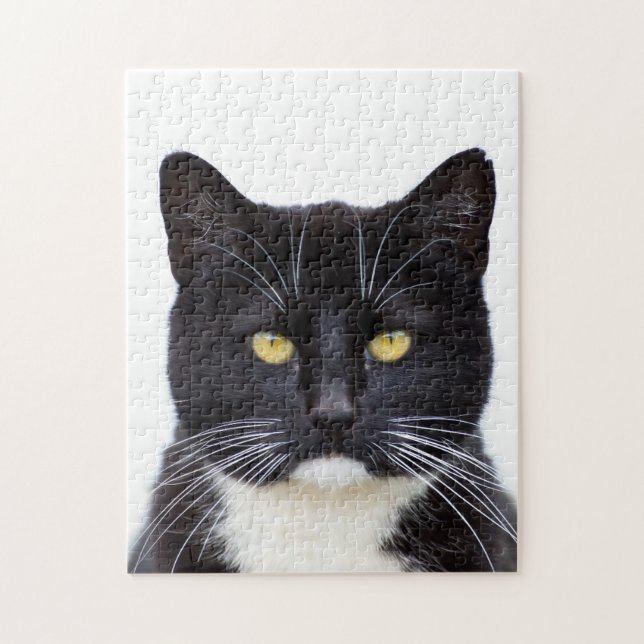 Pussel för fotoet för smokingkatten 11x14 med (Vertikal)