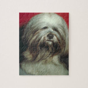 Pussel för grå färgLhasa Apso hund
