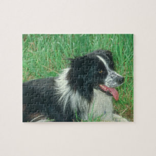 Pussel för gränsColliehund