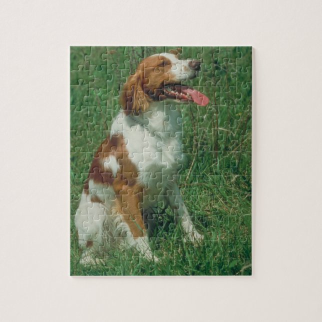 Pussel för hund för Brittany Spaniel (Vertikal)