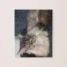 Pussel för Maine Coonkatt