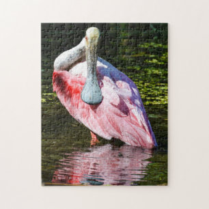 Pussel för Roseate Spoonbill
