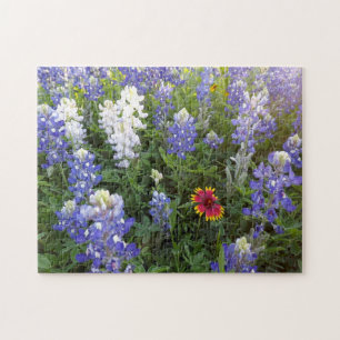 Pussel för Texas vildblommar 10x14