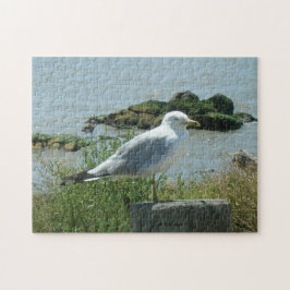 Pussel - Gull på Piling