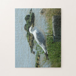 Pussel - Gull på Piling