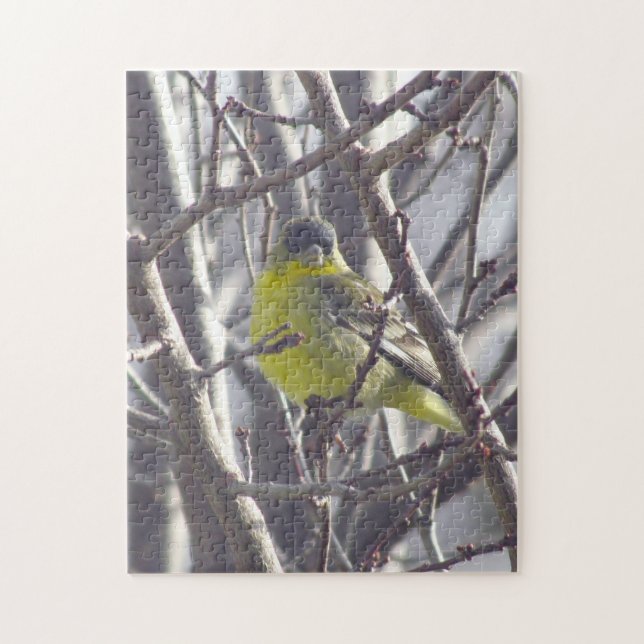 Pussel - Gult Finch i Grenar (Vertikal)