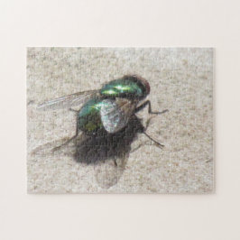 Pussel - House Fly