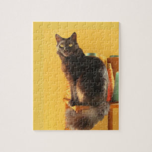 Pussel - Katt och garn
